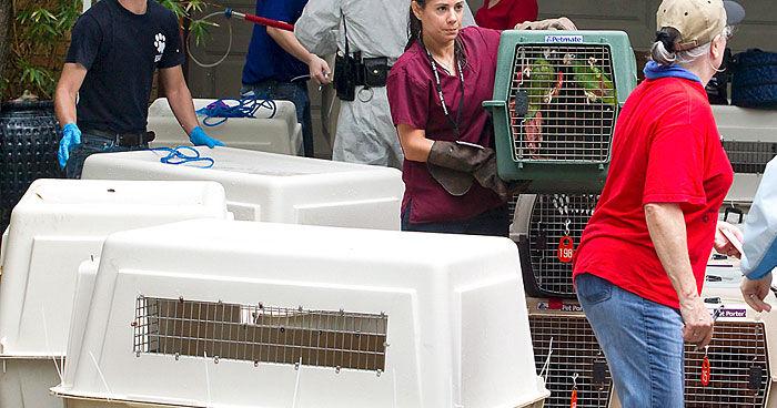 More than 100 animals seized at Santa Fe home | Local News | The Daily News