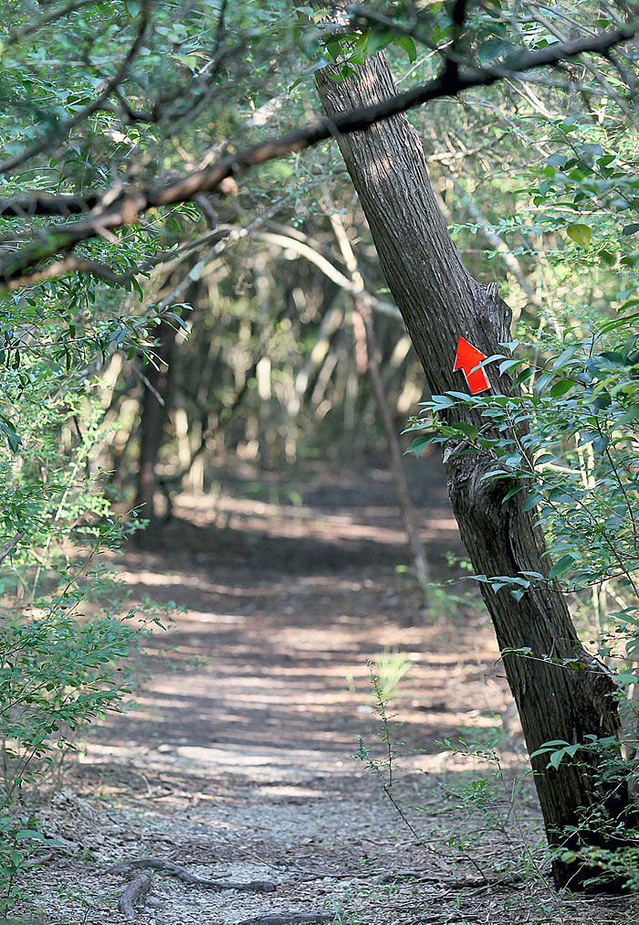 Jack brooks mountain online bike trails