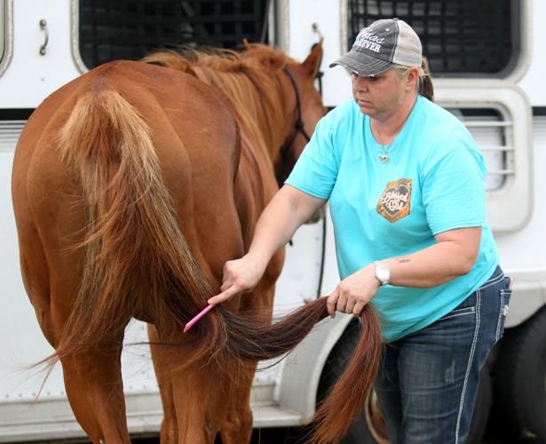 Barrel Racing at the Galveston County Fair & Rodeo | In Focus | The ...