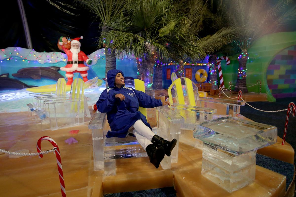 Moody gardens ice land coupons