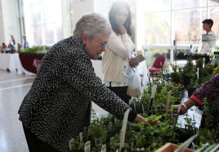 Friends of Moody Gardens hosts Gulf Coast Herb Fair Local News The