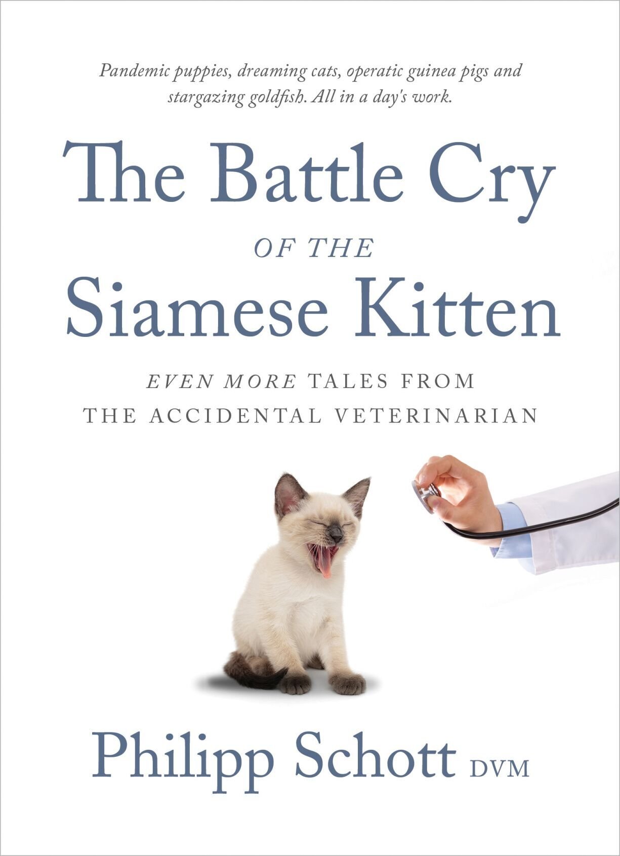 Get your claws on 'Battle Cry of the Siamese Kitten'