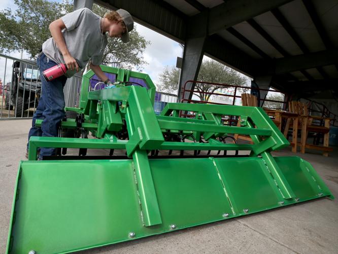 Galveston County Fair & Rodeo holds auction Local News The Daily News