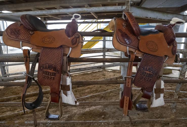 Galveston County Fair & Rodeo Local News The Daily News