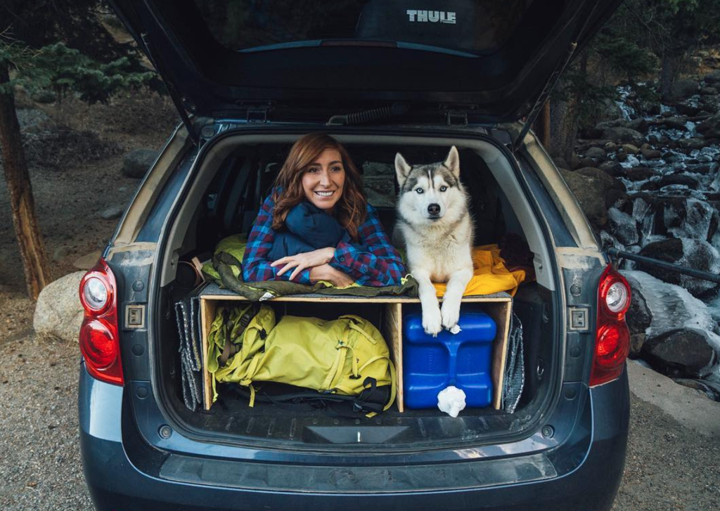 14+ Colorado Moutain Dog