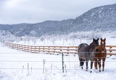 Weather Updates Wintry Mix Turning Colorado Springs Area Roads