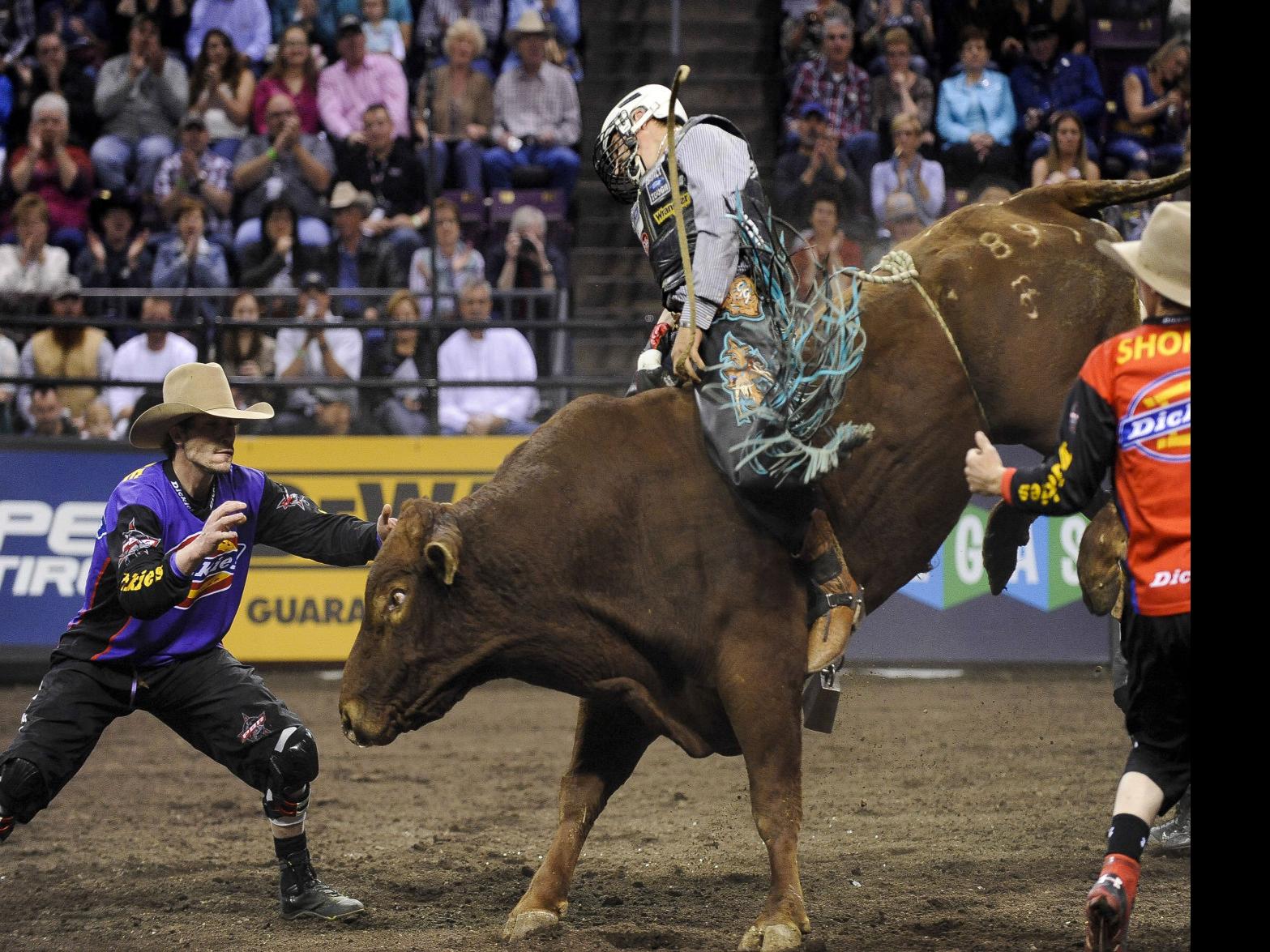 Bullfighters takes a few hits from PBR Bucking Bull - Professional