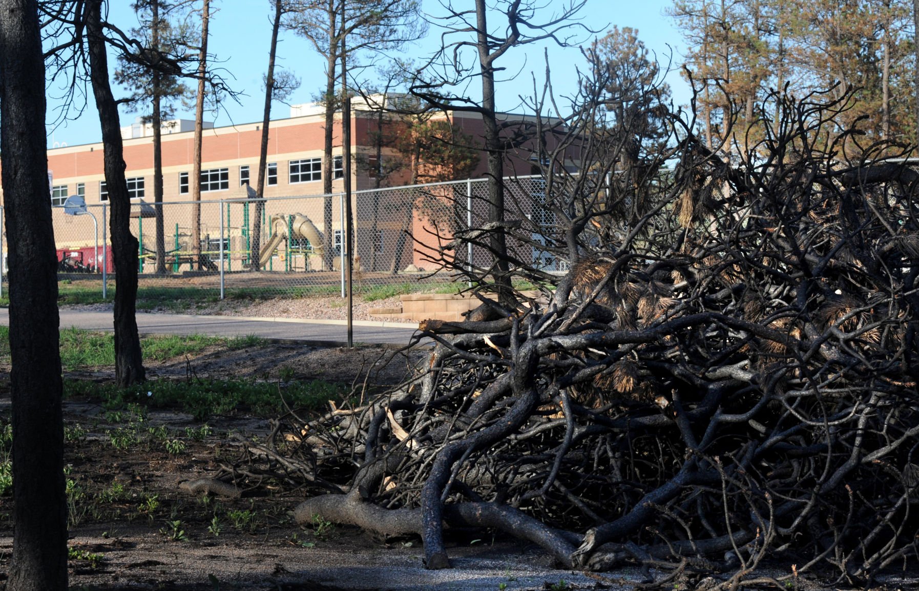 School in the midst of Black Forest fire devastation shows