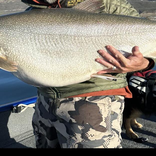 Colorado man reels in suspected world-record trout — but there's a catch, Outdoors