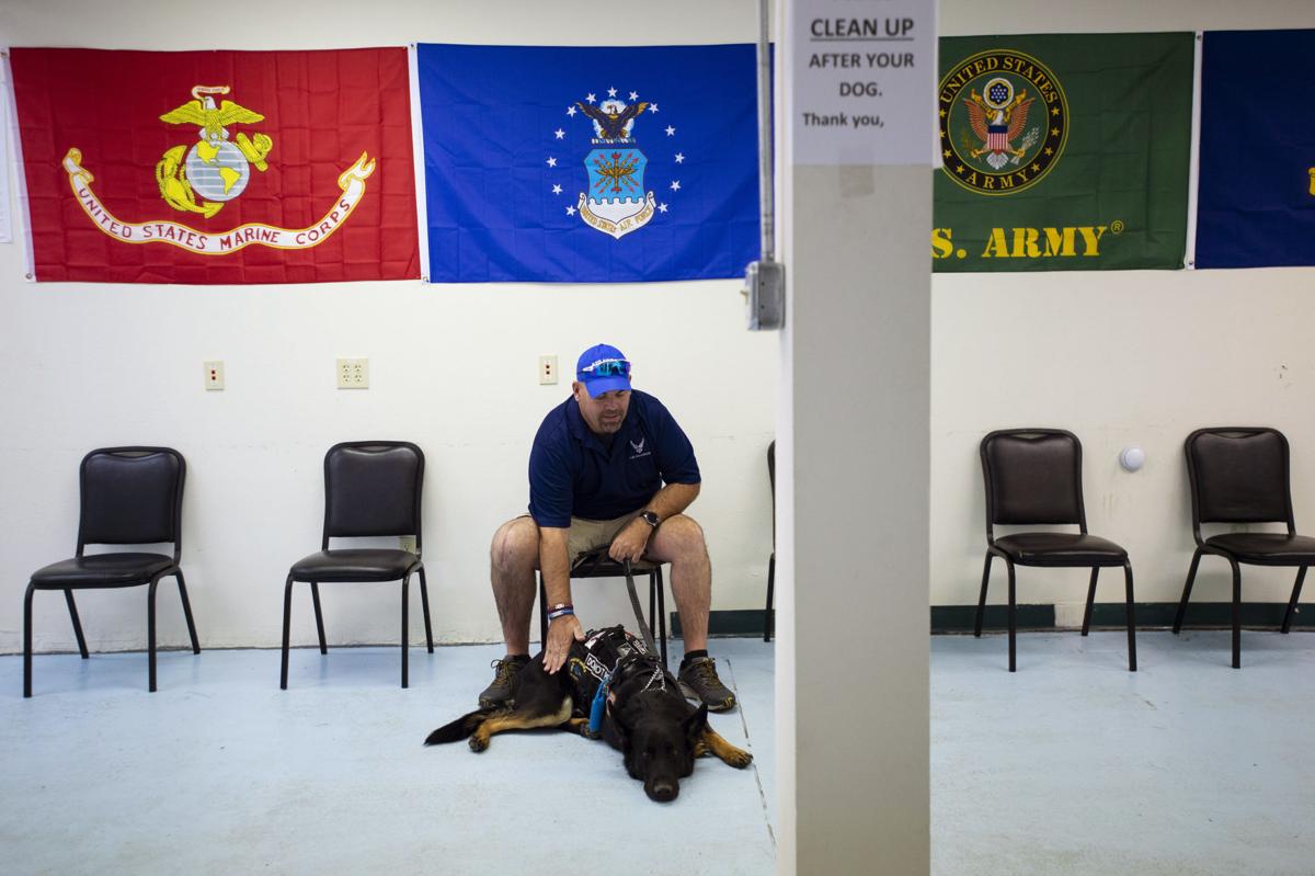 For Troubled Colorado Springs Veterans Service Dogs Provide Aid Lifestyle Gazette Com