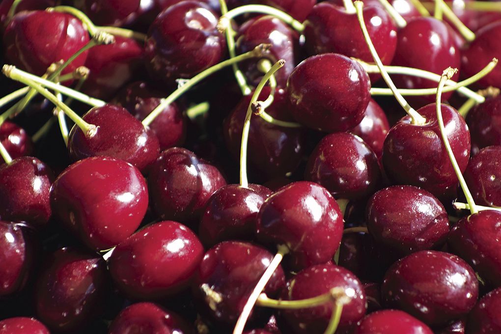 Front Range Fruit Trees Colorado Springs News Gazette Front Range Fruit Trees