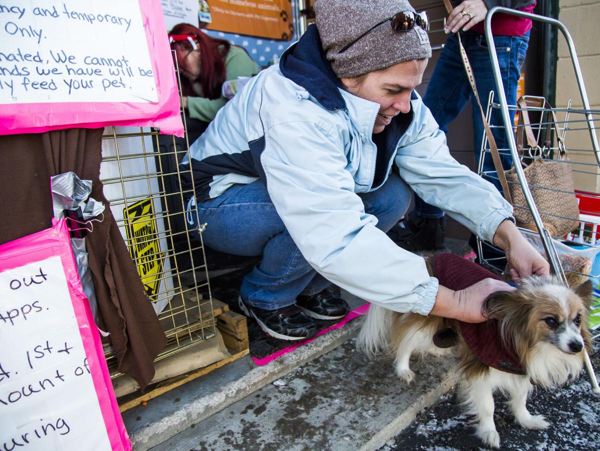 Peak Pet Pantry Helps Feed Furry Family Members In Need Lifestyle Gazette Com