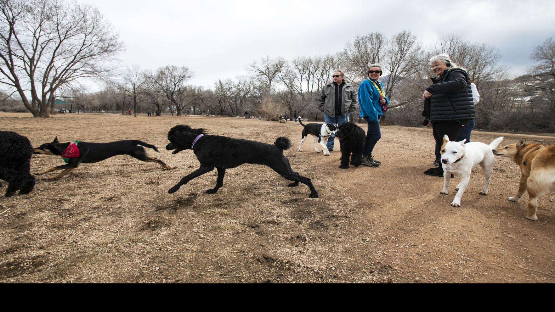 Leash Law Reinstated At El Paso County Regional Parks Change Won