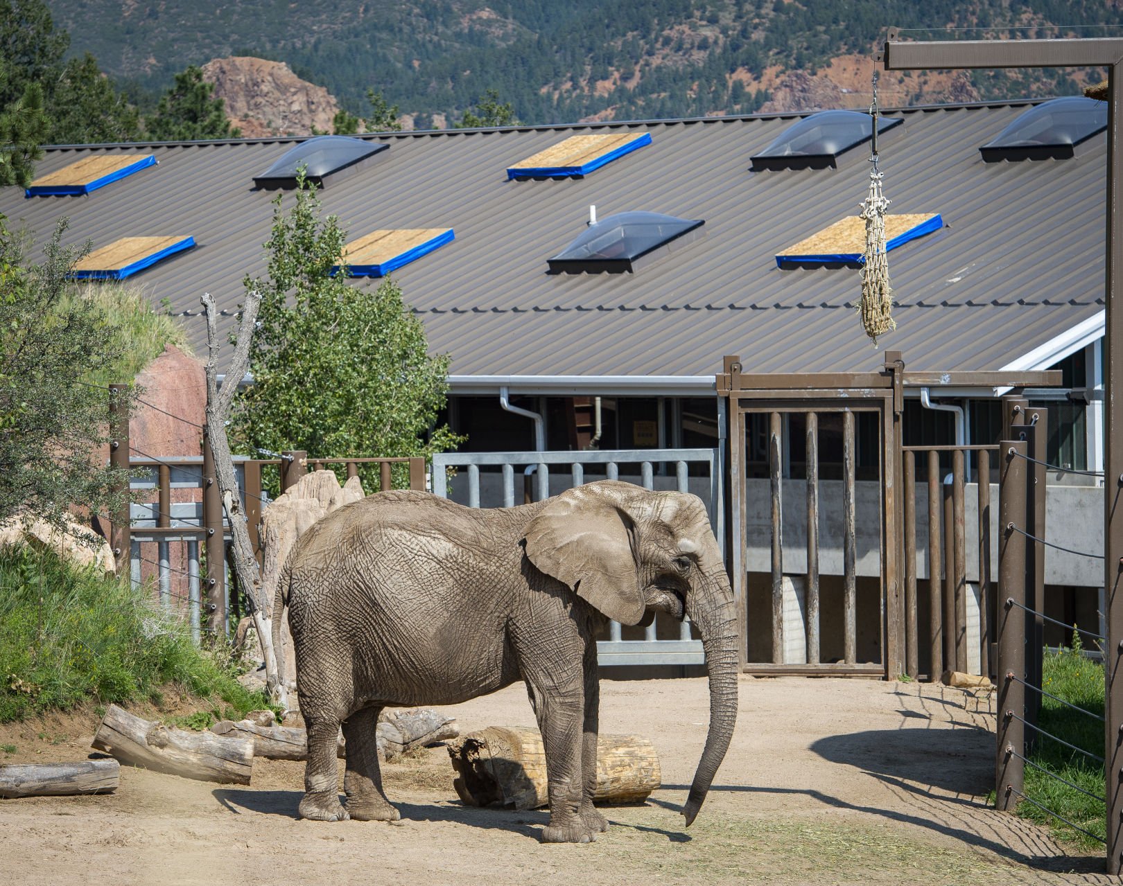 Cheyenne Mountain Zoo Staff Recounts Moments Before And After Massive   5b6f26f72dfe2.image 