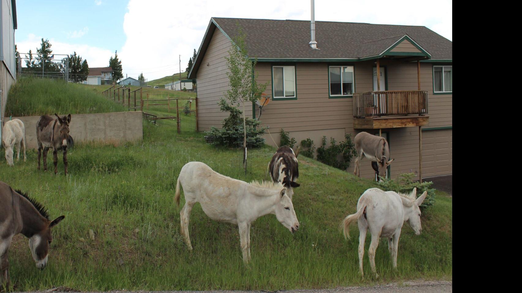 City of Cripple Creek Scales Back on Development Incentives For Housing
