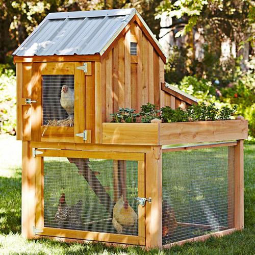 How to Build a Colorado Chicken Coop