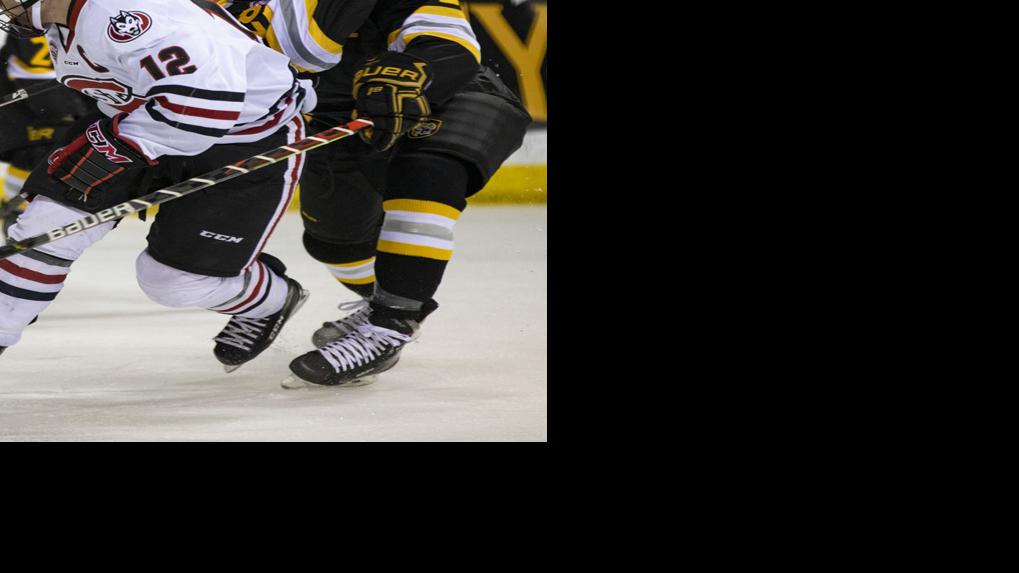 GAME DAY PREVIEW DECEMBER 2 @ CALGARY - Medicine Hat Tigers