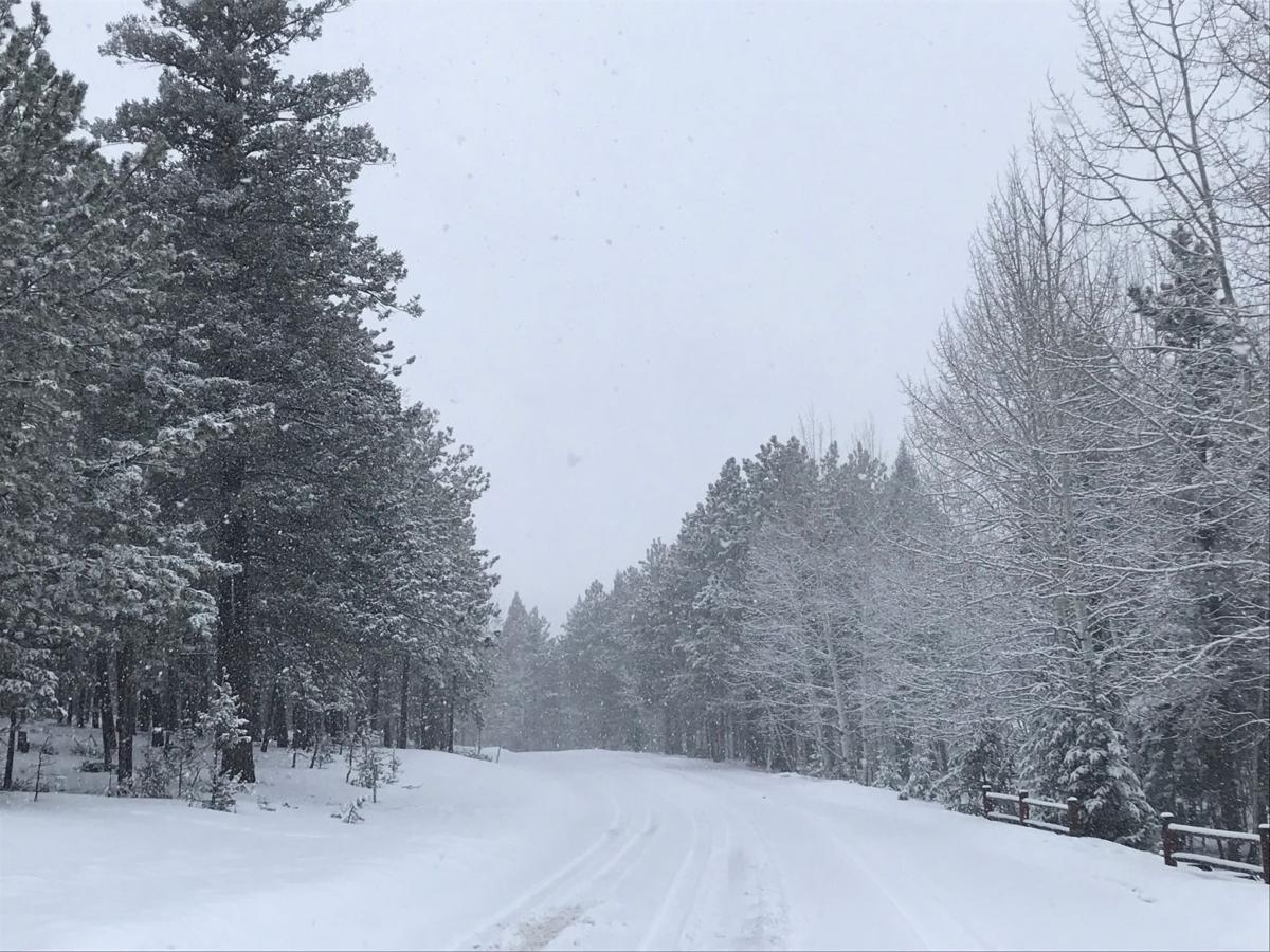 Colorado Springs Snowfall