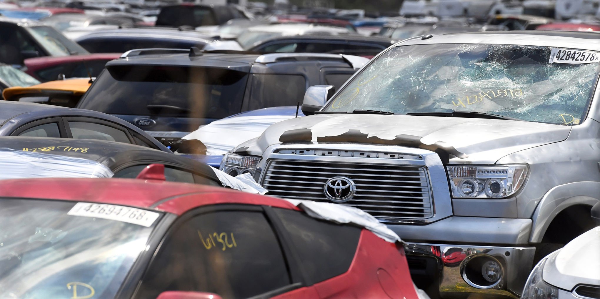 Thousands of hail damaged vehicles sit on Colorado Springs parcel