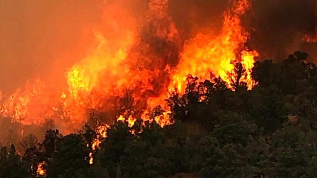 Platina Fire grows to 250 acres southwest of Redding