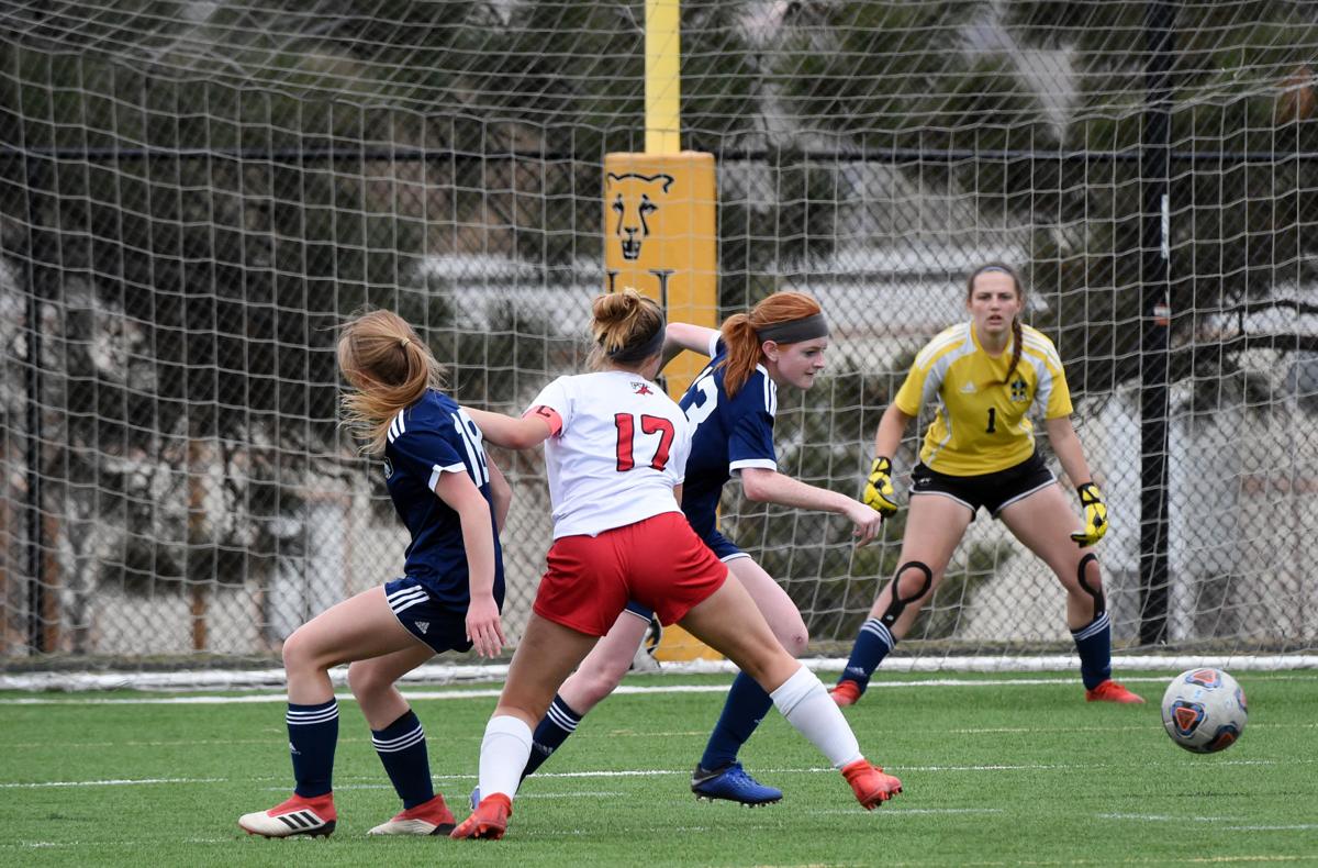 PHOTOS: CSCS Lions (3) Fountain Valley Danes (0)