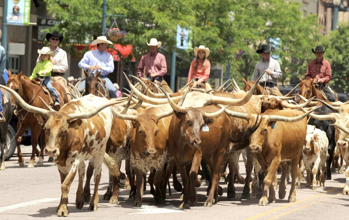 Watch Parade Of Longhorns Rumbles Through Colorado Springs Lifestyle 6435