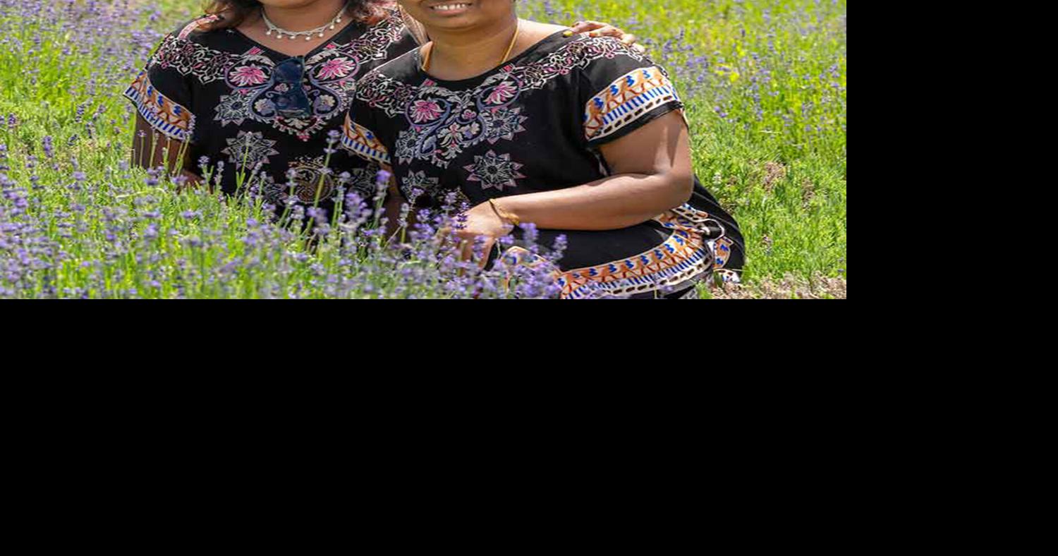Weekend things to do around Denver and beyond: Lavender Fest at Chatfield Farms and more | Arts & Entertainment