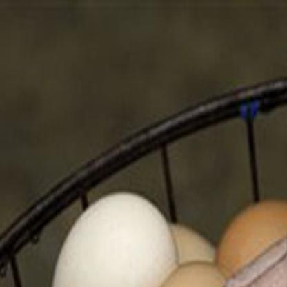Salmonella Vaccine May Help Prevent Egg Recalls But It S Not Required In U S Colorado Springs News Gazette Com