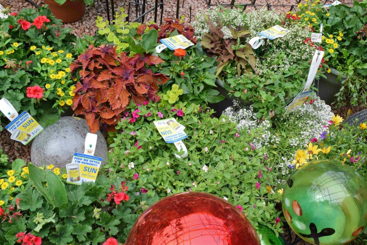 Traditional To Eccentric Good Earth Garden Center Fits The Bill Colorado Springs News Gazette Com