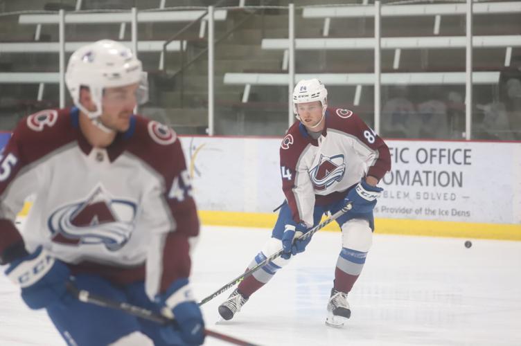 It gets the job done': Family Sports practice facility works for Colorado  Avalanche but update is necessity, Sports Coverage