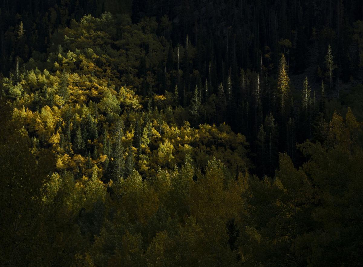 100219-news-fallcolors 06