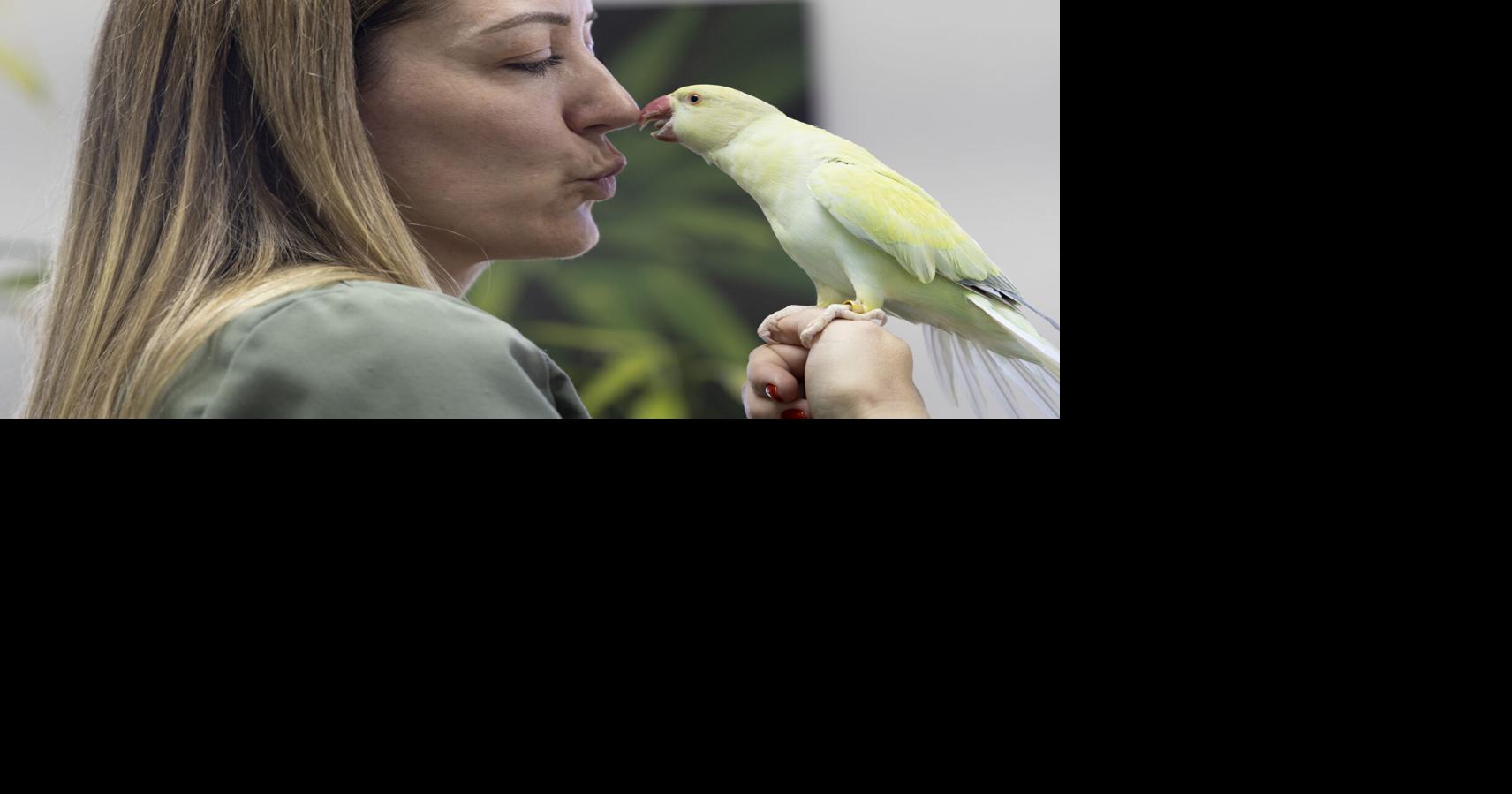 Fins and Feathers: A closer look art Colorado Springs’ only pet bird rescue and sanctuary | Pets