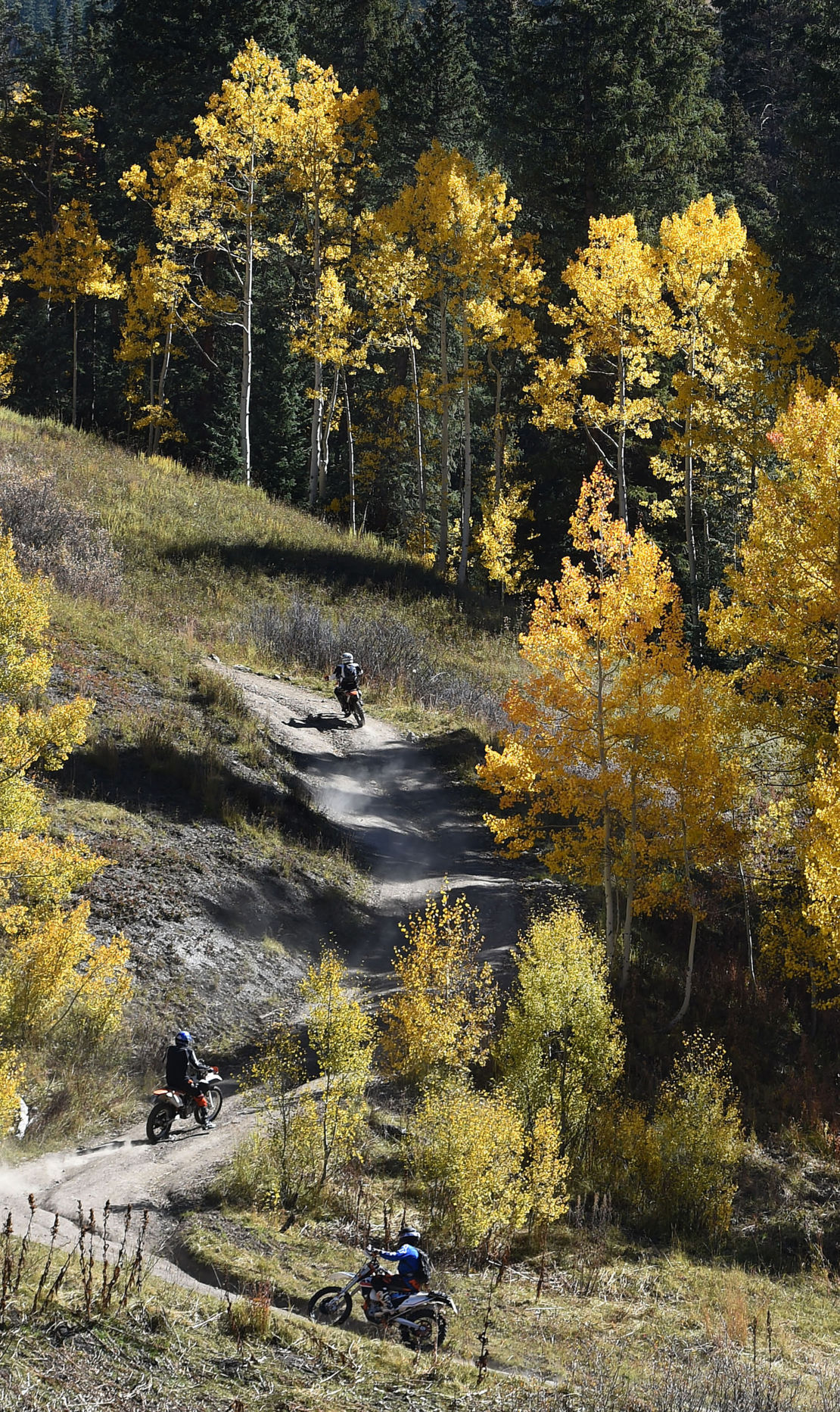 Dirt bikers pass through Aspens and other trees of changing colors on a dirt road off of County Road 317 north of Crested Butte on Sunday, Sept. 28, 2015. Those who went into the mountains this past weekend were mostly likely treated to a spectacular show of colors. The show will most likely continue through the week in the higher elevations. (Jerilee Bennett/The Gazette)