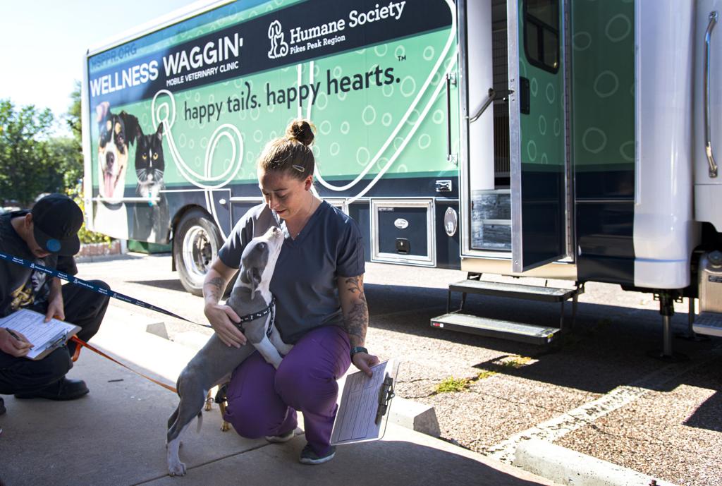 Southern Colorado No Kill Animal Shelters Struggle With Violations Colorado Springs News Gazette Com