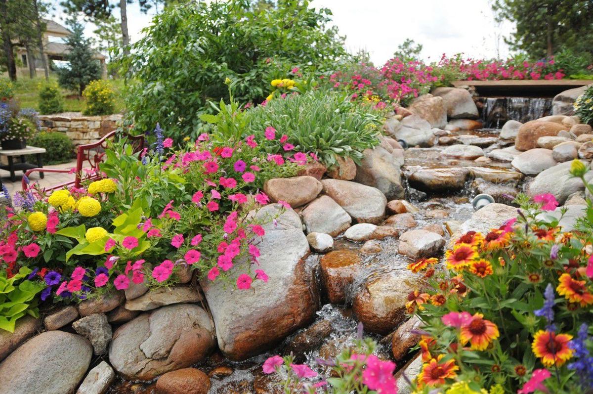 Colorado Springs Landscaper Recognized For Flower-filled Yard Colorado Springs landscaper recognized for flower-filled yard project - Colorado Springs Landscaper Recognized For Flower-filled Yard