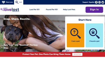 Missing pets website best sale