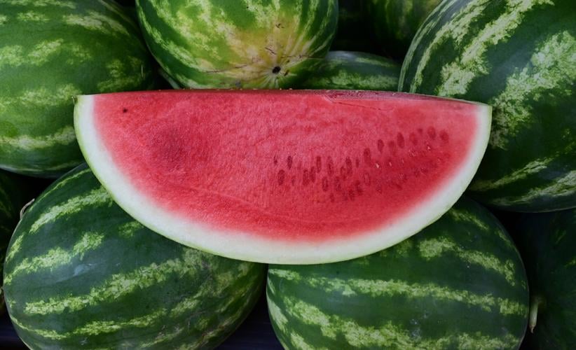 How Rocky Ford melons in Colorado have world famous Lifestyle