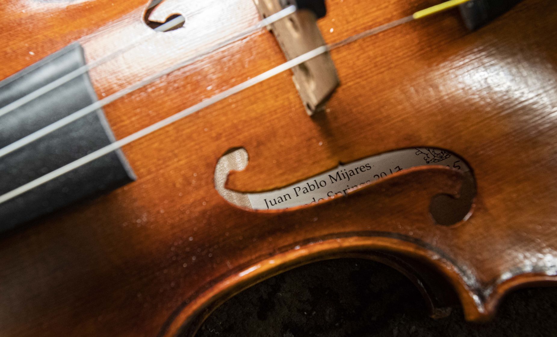 Violin brands online