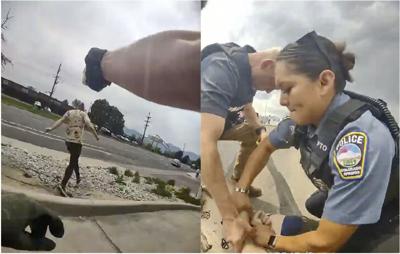 Root Arrest.jpg