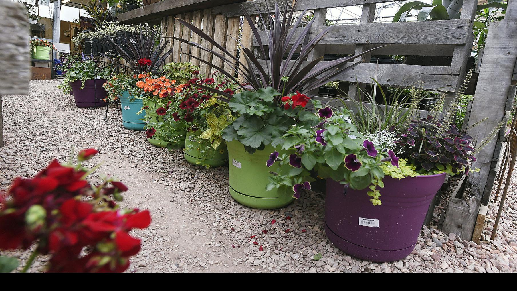 Gardening: Patio Container Vegetables - Cross Timbers Gazette, Southern  Denton County, Flower Mound