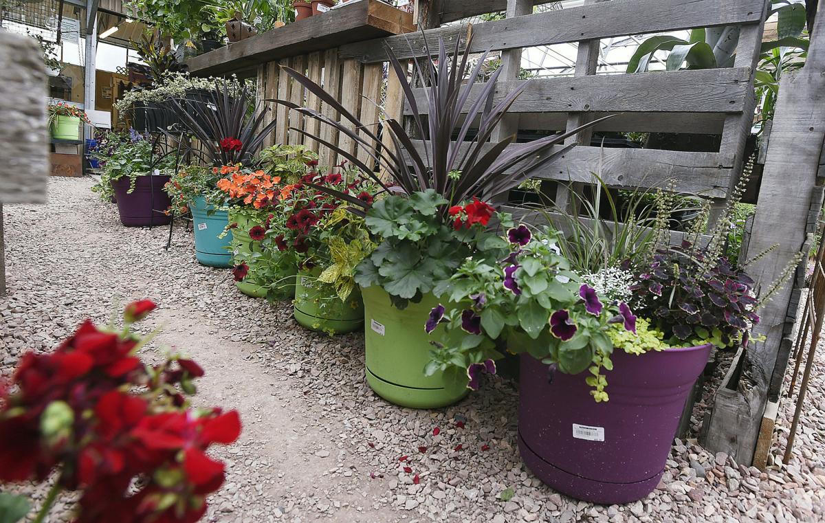 Container Gardening Good Things Grow In Small Spaces Lifestyle