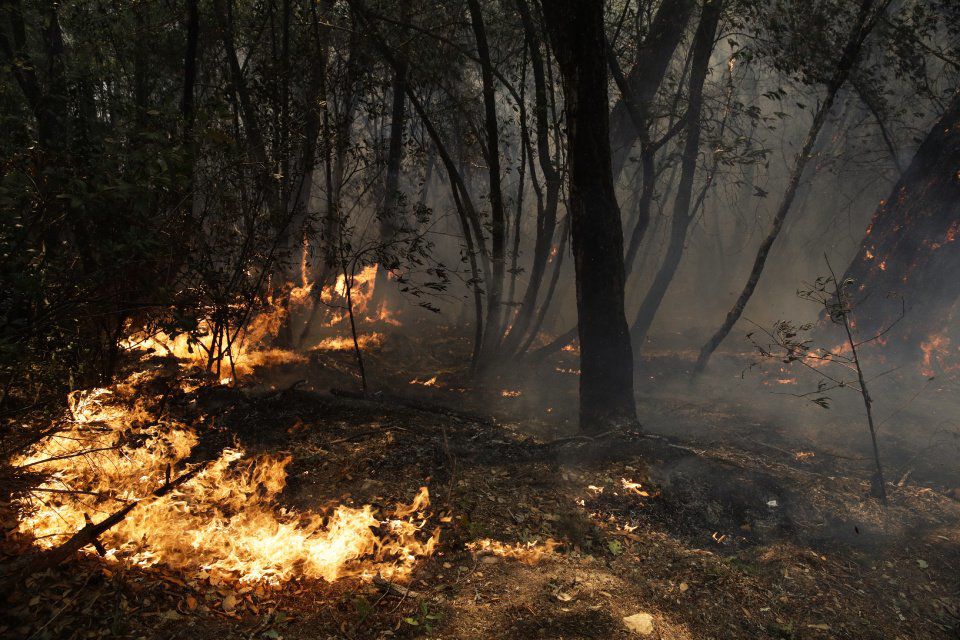 Hall of Famer Tom Seaver forced to flee wildfires