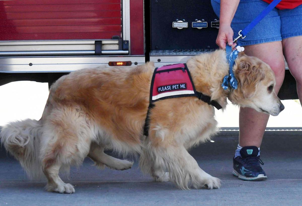 062319-life-therapy-dogs 33.JPG