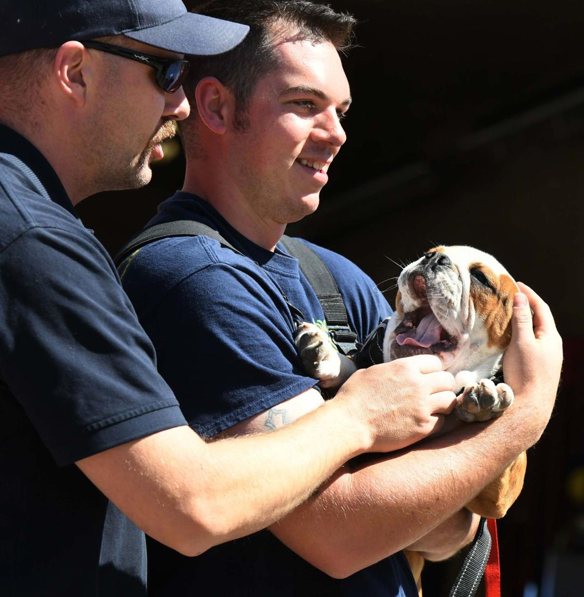 062319-life-therapy-dogs 35.JPG
