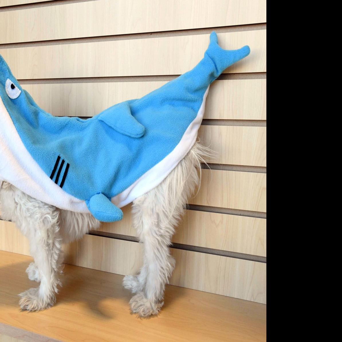 No Trick Dog Costumes Around Colorado Springs All The Rage For