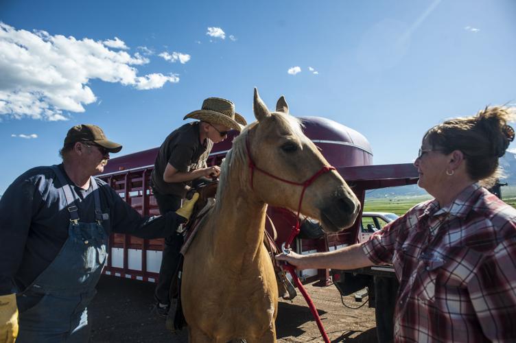 Cowboys in hot water over controversial coffee partnership