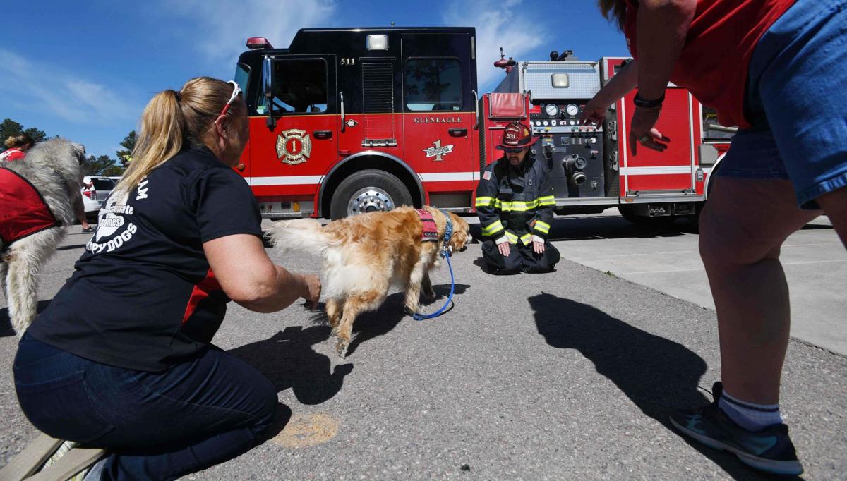 062319-life-therapy-dogs 36.JPG
