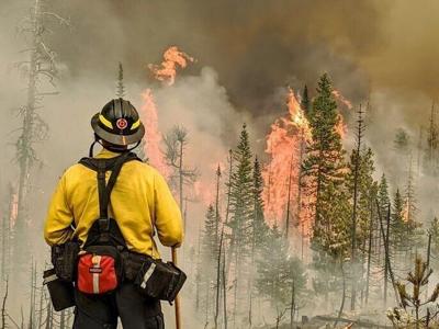 Cameron Peak Fire Burning Northwest Of Fort Collins Prompts New Evacuations Colorado Springs News Gazette Com