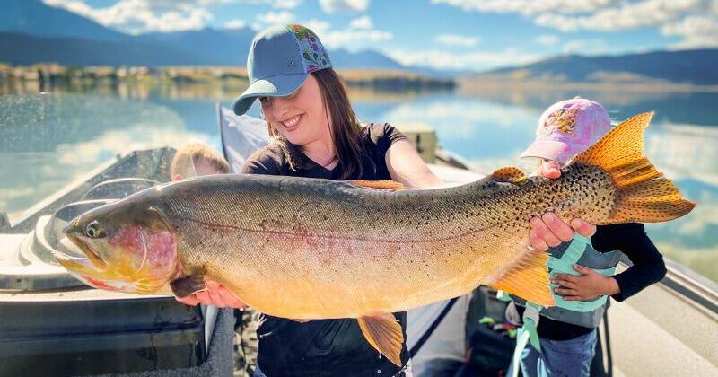 Idaho woman reels in record-breaking trout; a look at some of Colorado's  standing fish records | Outdoors | gazette.com