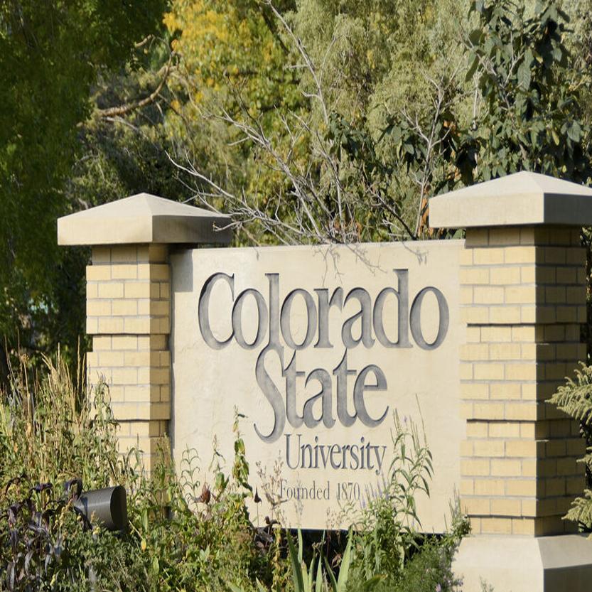 Csu Athletes Fraternity Are Sources Of Coronavirus Outbreaks Colorado Politics Gazette Com